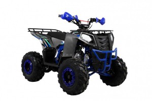 Квадроцикл Wels ATV THUNDER EVO 125 s-dostavka Серый - магазин СпортДоставка. Спортивные товары интернет магазин в Курске 